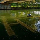 Ruderer auf dem Neckar