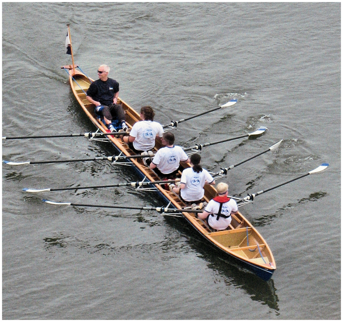 Ruderer auf dem Rhein