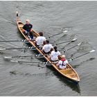 Ruderer auf dem Rhein