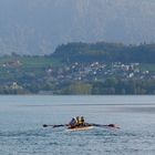 Ruderer auf dem Thuner see