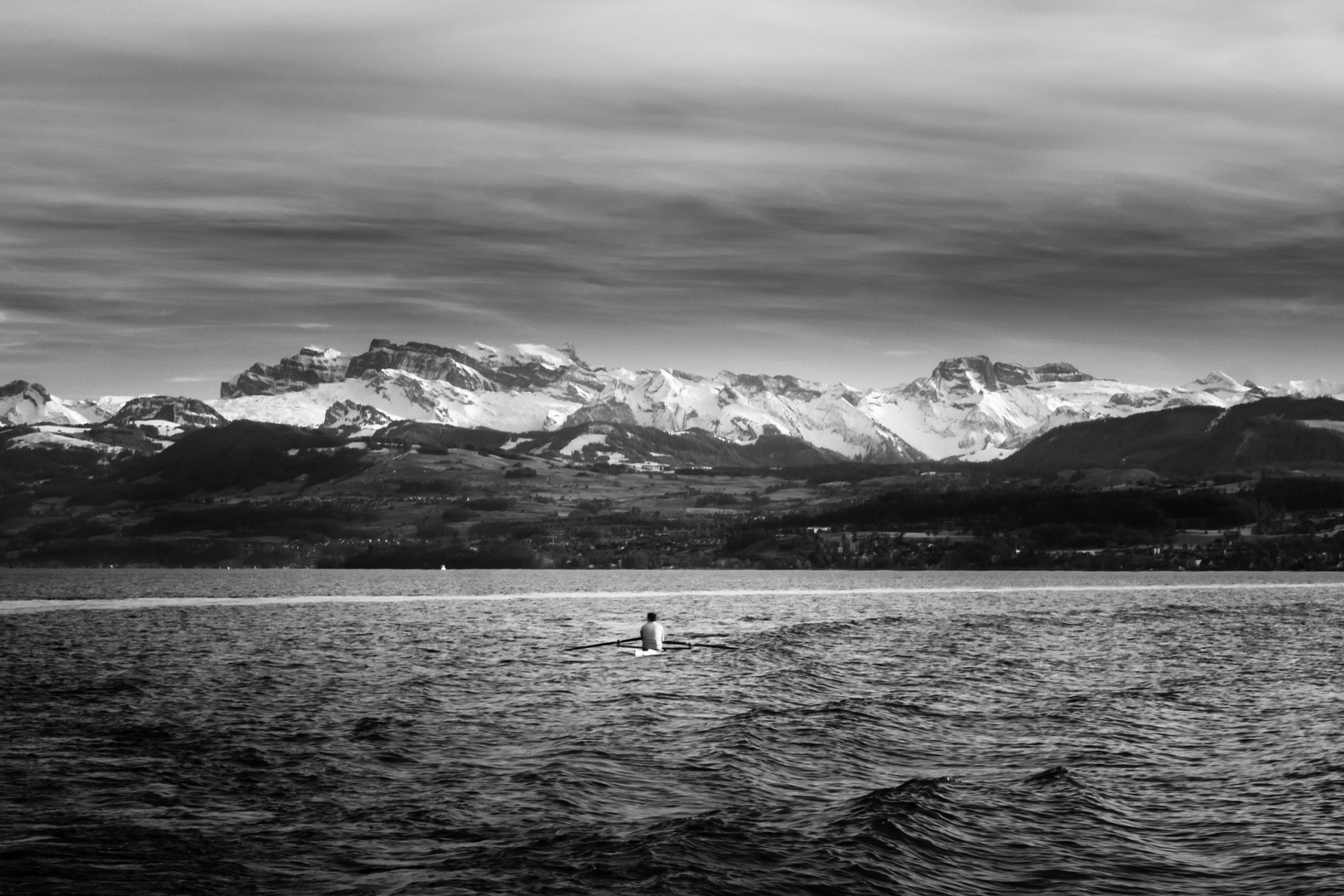 Ruderer auf dem Züricher See