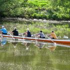 Ruderer auf der Ruhr