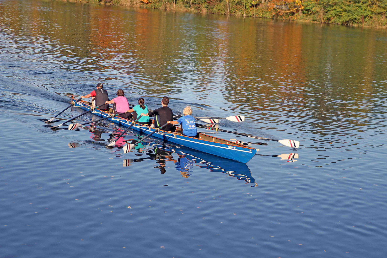 Ruderer auf der Ulmer Donau