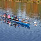 Ruderer auf der Ulmer Donau