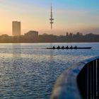 Ruderer bei Sonnenuntergang auf der Außenalster