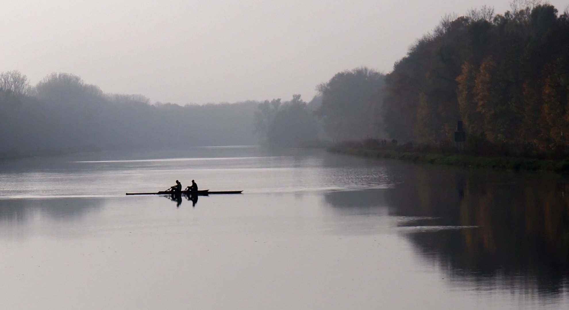 Ruderer beim Wenden auf der Donau!