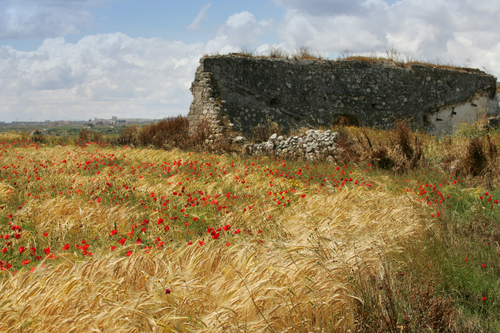 RUDERI DI SIPONTO