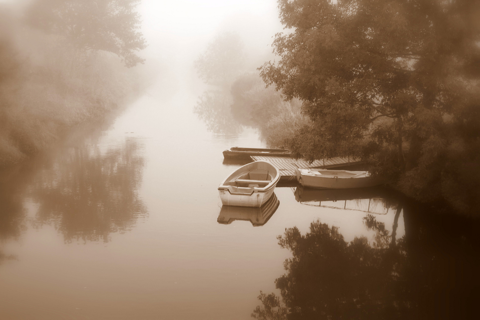 Ruderlos im Nebel