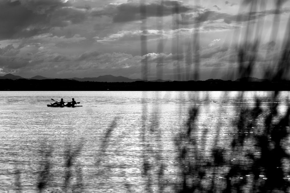 Rudern am Bodensee