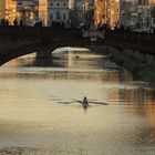 Rudern auf dem Arno