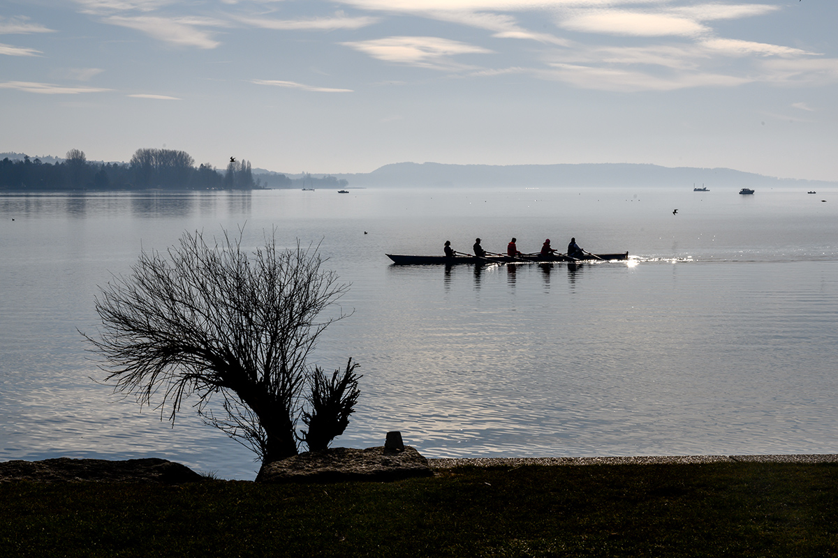 Rudern auf dem Bieler See