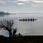 Rudern auf dem Bieler See