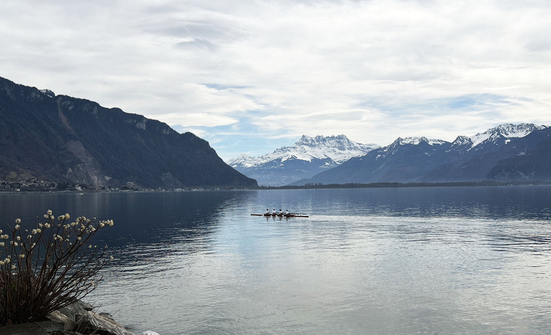 Rudern auf dem Genfersee