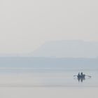 Rudern auf dem Steinhuder Meer