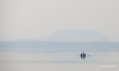 Rudern auf dem Steinhuder Meer