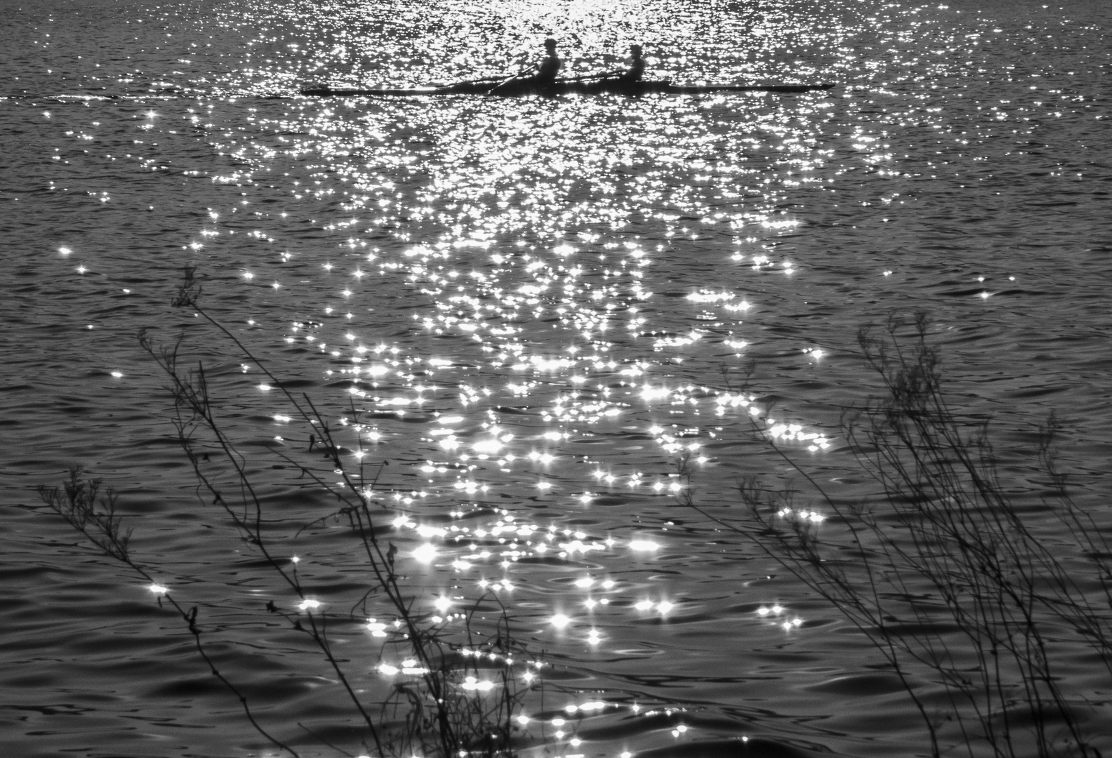 Rudern im Abendlicht