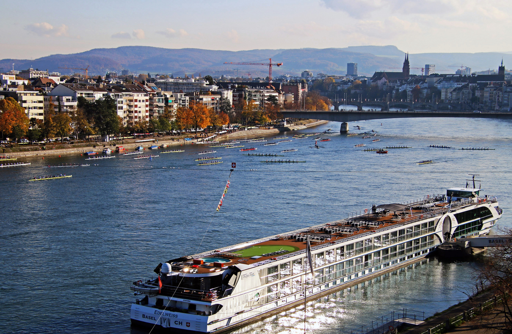 Ruderregatta 2019 in Basel