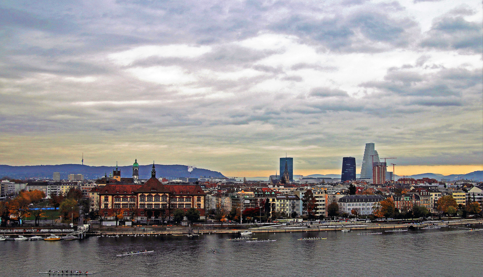 Ruderregatta auf dem Rhein