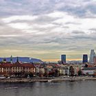 Ruderregatta auf dem Rhein