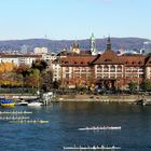 Ruderregatta auf dem Rhein