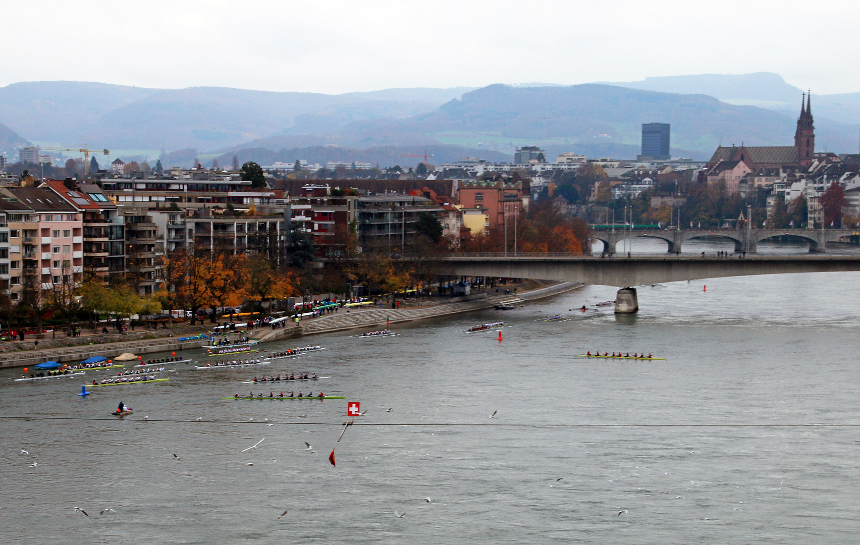 Ruderregatta in Basel