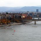 Ruderregatta in Basel