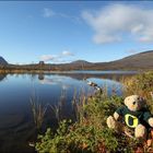 Rudi in Lappland