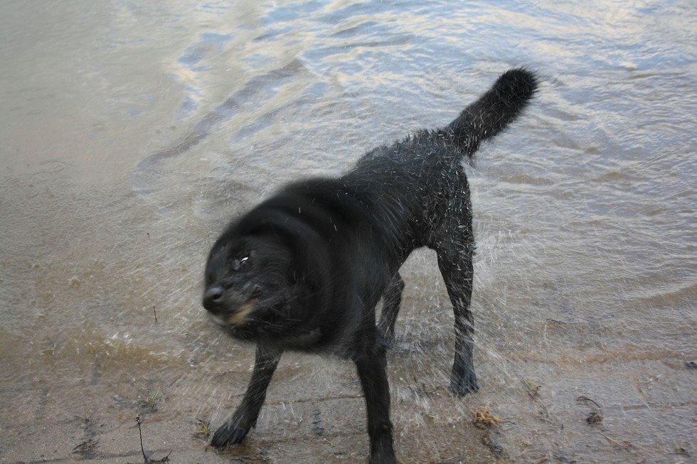 Rudi von der Elbe 5