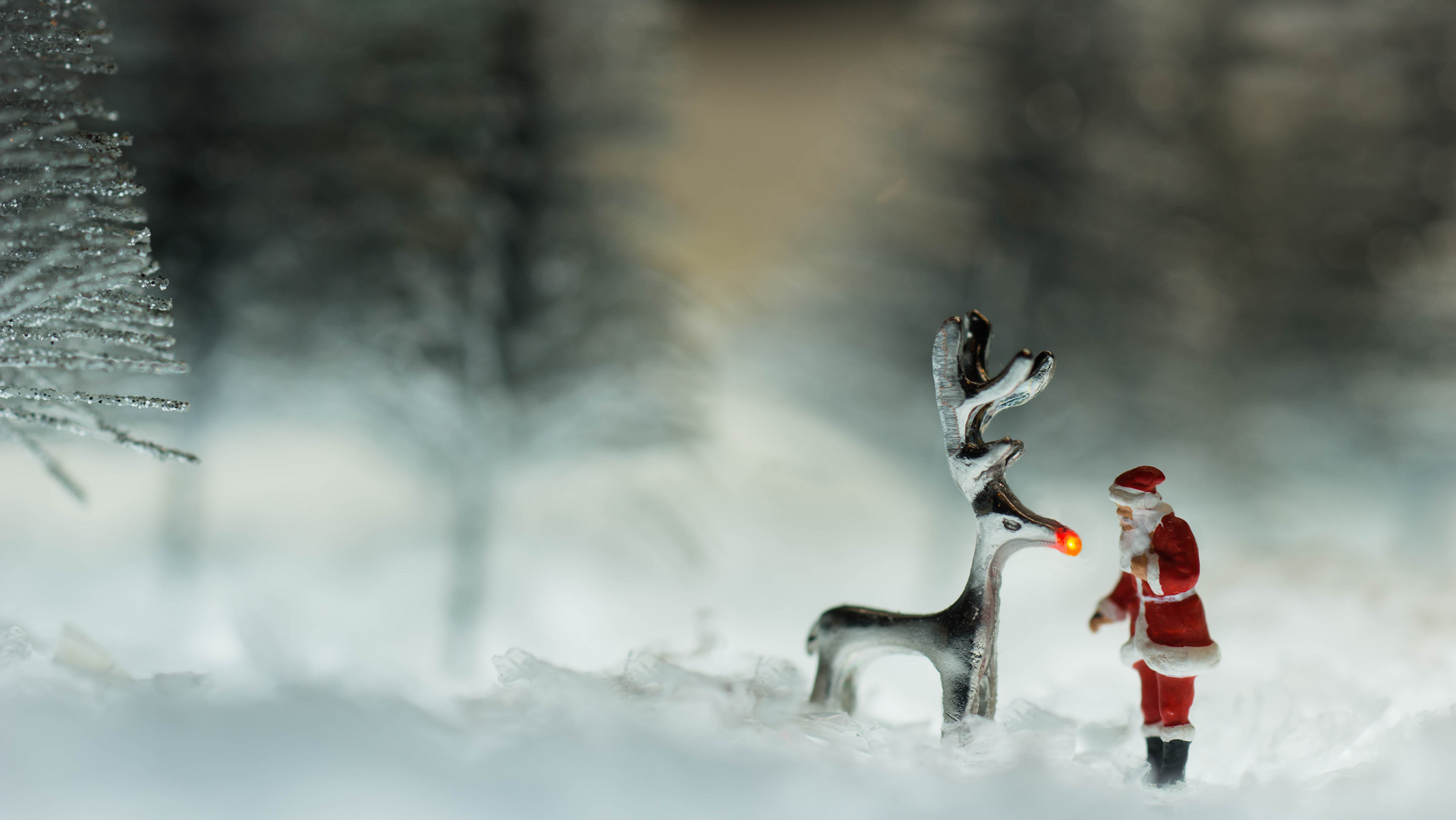 Rudolf Foto & Bild stillleben, kunstfotografie & kultur, emotionen