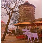 Rudolf vorm Frauentorturm