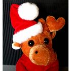 Rudolph ;-))