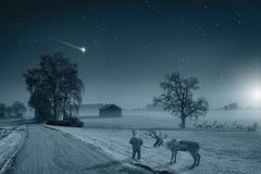 Rudolph