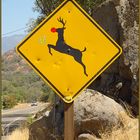 Rudolph Crossing