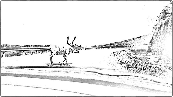 RUDOLPH DAS RENTIER.....