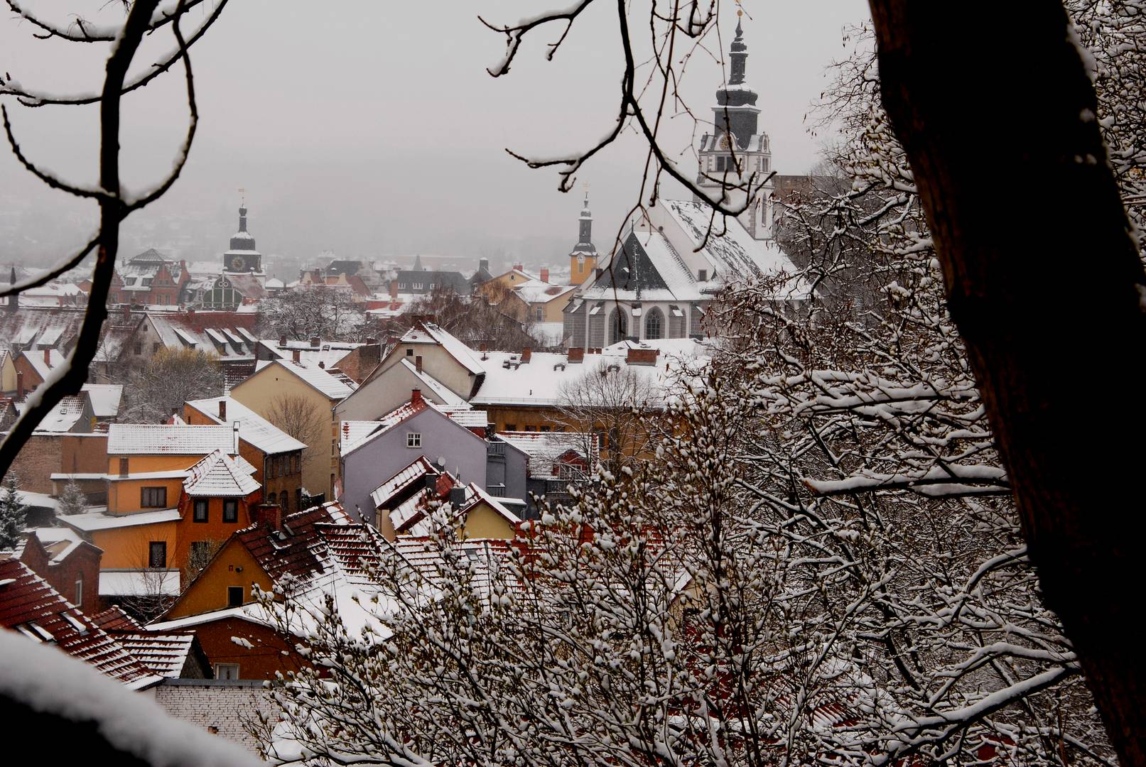 Rudolstadt 35