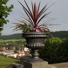 Rudolstadt - Impressionen auf der Heidecksburg (I)