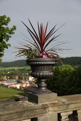 Rudolstadt - Impressionen auf der Heidecksburg (I)