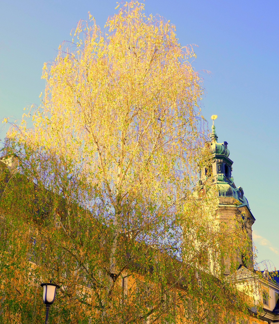 Rudolstadt:Schloss