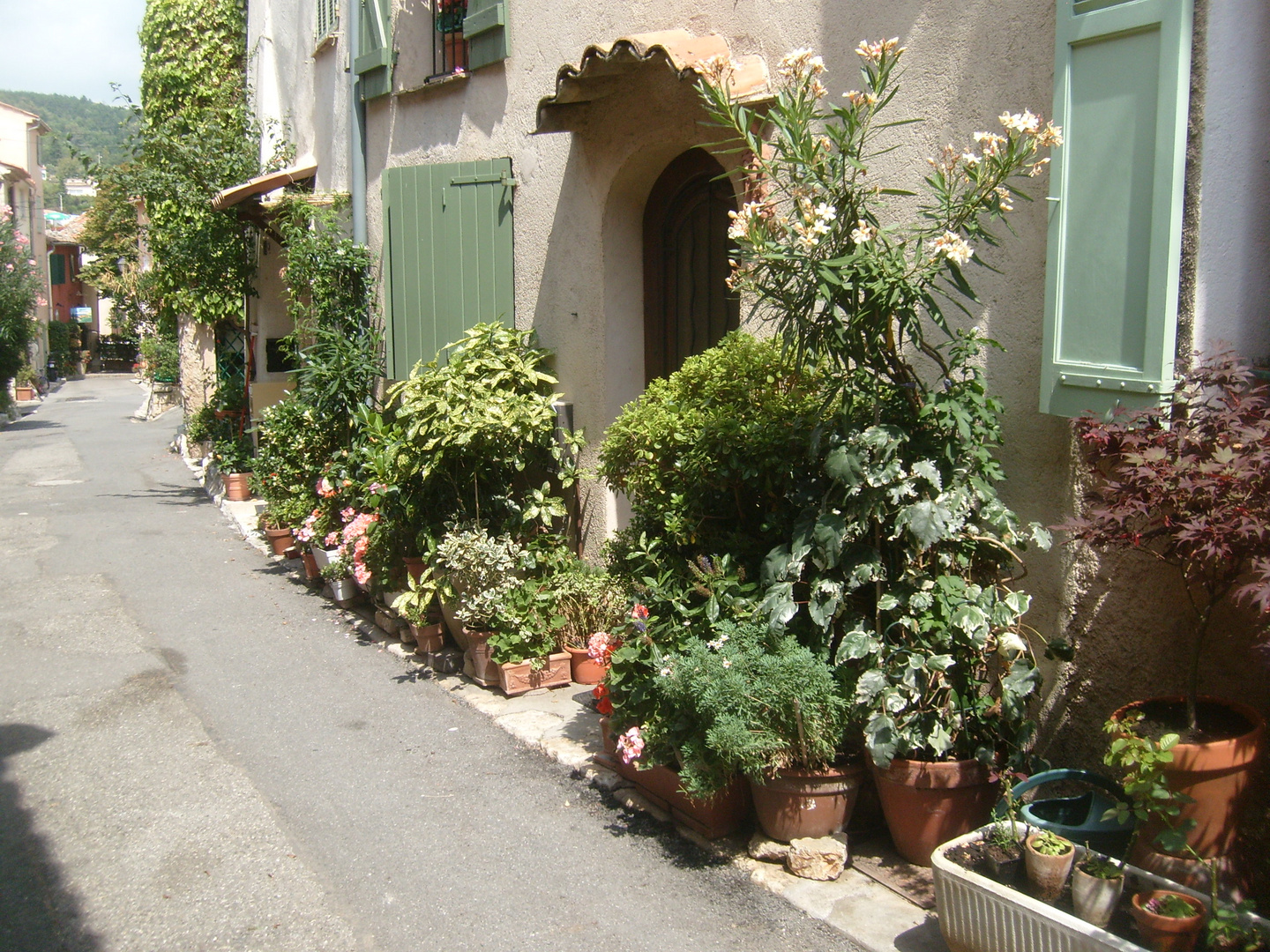 Rue de Cabris (06)