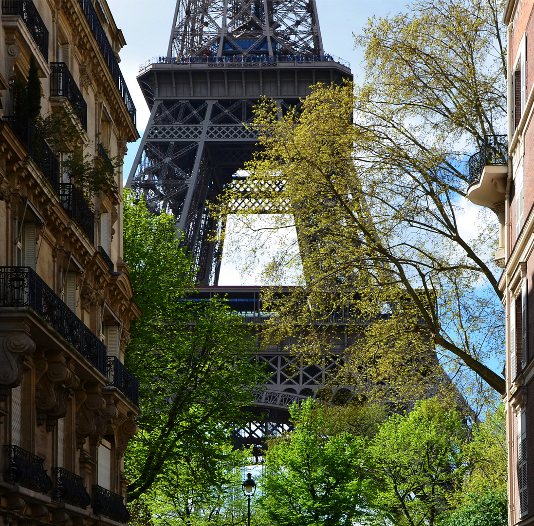 Rue de l'université