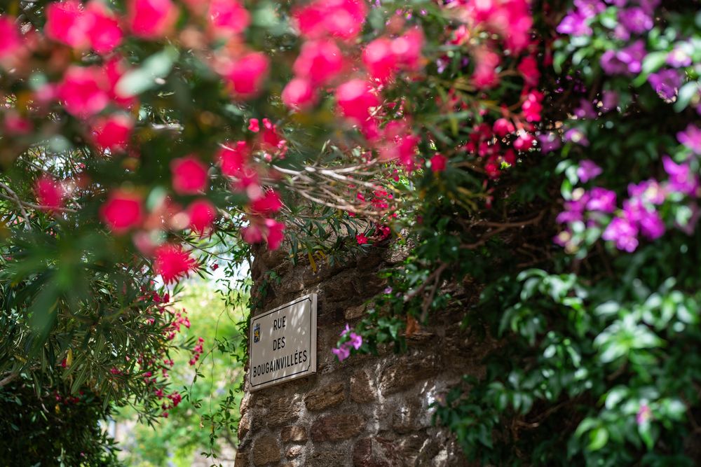 Rue des Bougainvillées