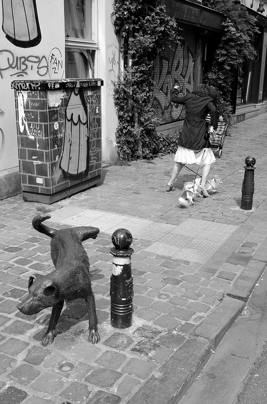 Rue des Chartreux