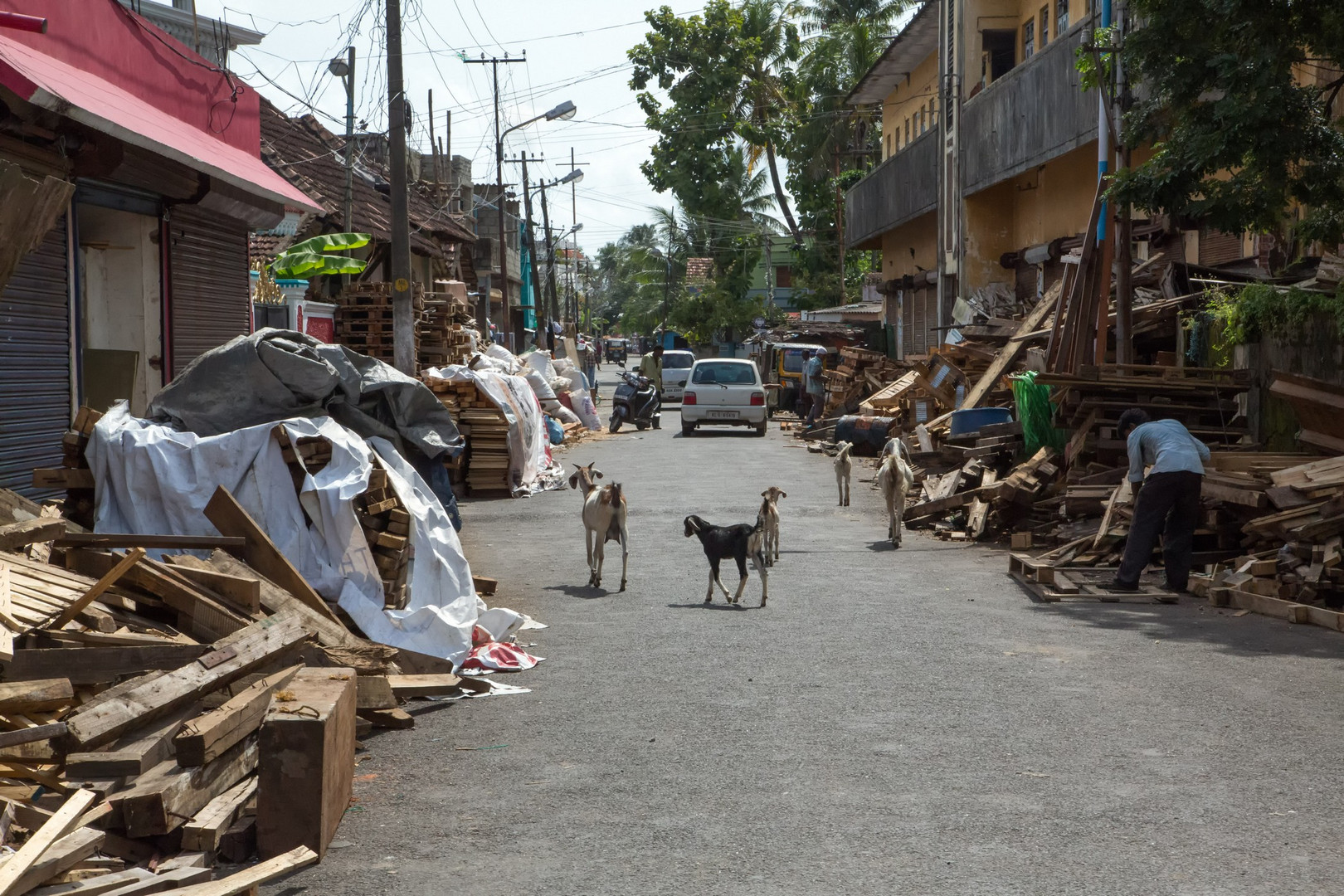 Rue des récupérateurs de bois à Fort Cochin