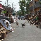 Rue des récupérateurs de bois à Fort Cochin