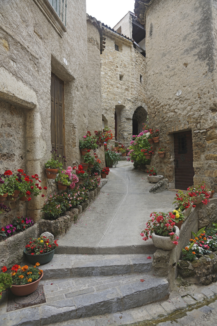 Rue Déserte .... et fleurie