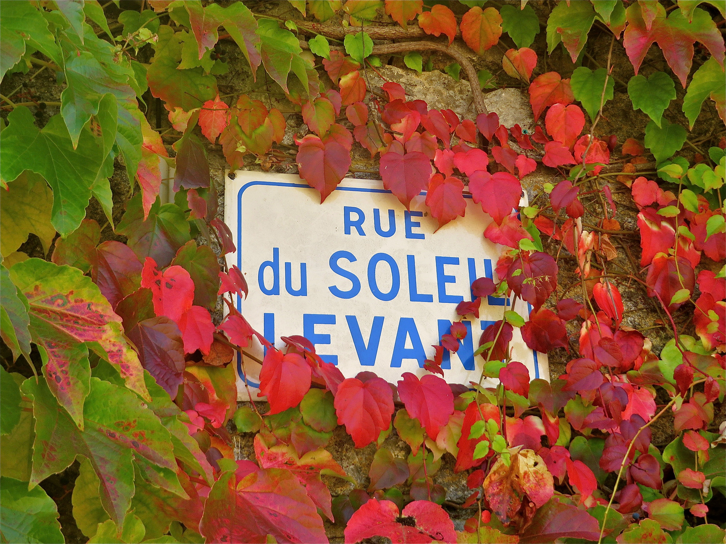 ... Rue du Soleil Levant ..!!!...