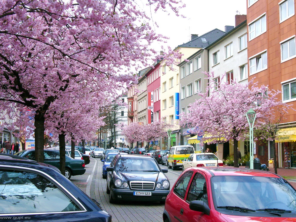 RÜ ohne Kirchen