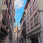 Rue Port Neuf et flèches de la Cathédrale Sainte-Marie