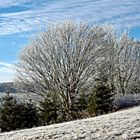 Rübenau im Erzgebirge