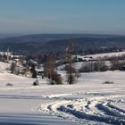 Rübenau im Erzgebirge